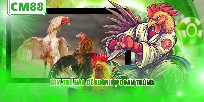 Làm thế nào để luôn dự đoán trúng
